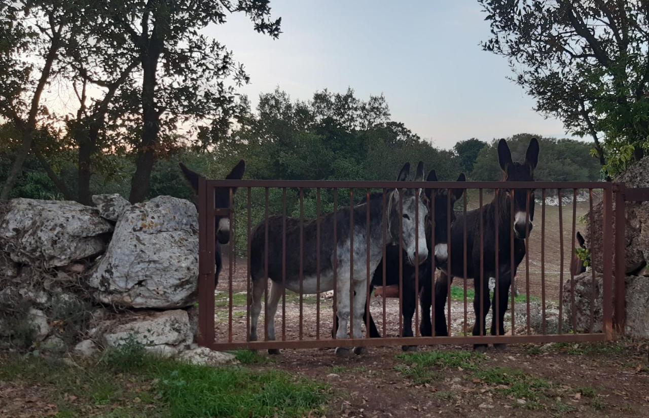 Pietra D'Angolo Locorotondo Exteriör bild